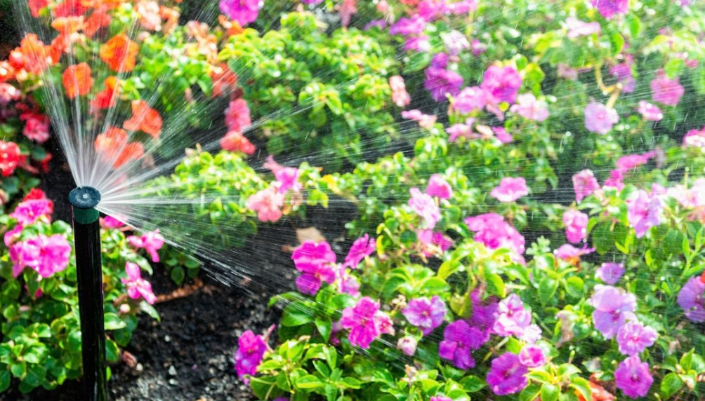 5 Essential Rain Gauge Features For Gardeners To Save Water
